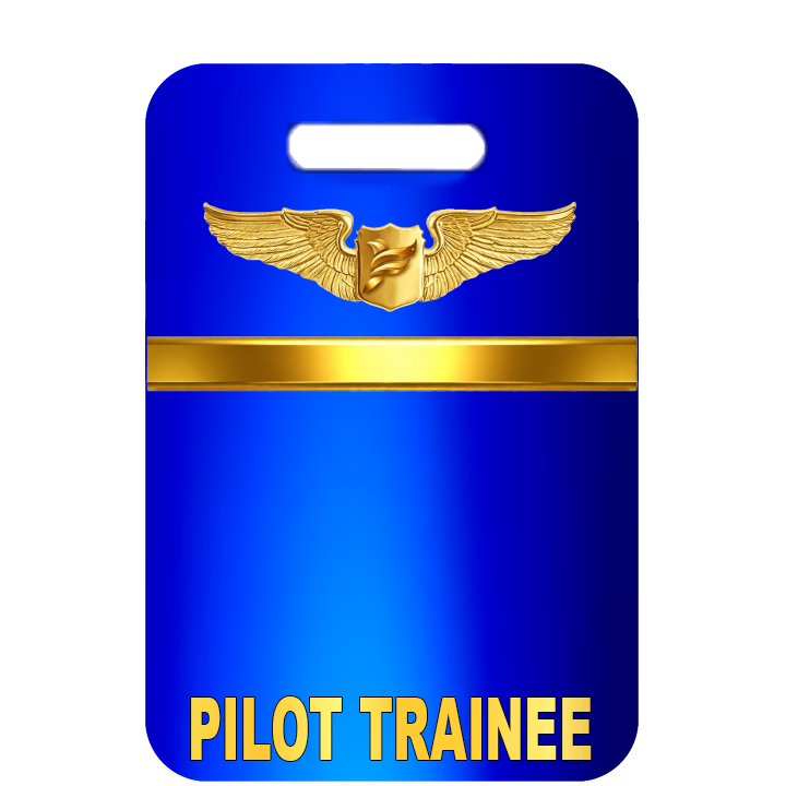 Pilot Trainee Advanced